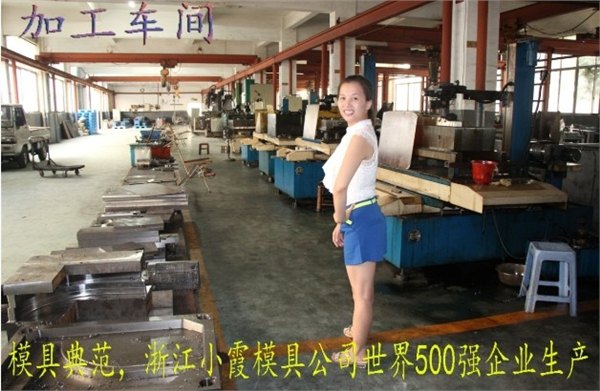 塑胶注射敞篷车塑料模具，浙江注塑模具公司