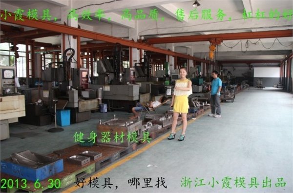 轿车塑胶注射塑料模具，浙江塑胶模具公司