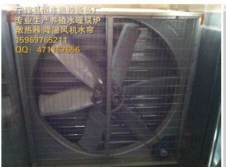 鸡舍锅炉 养鸡锅炉 养殖取暖锅炉价格优惠