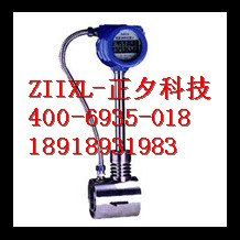 蒸汽防爆流量计，蒸汽防爆流量计生产厂家