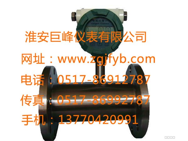JFLWGY电子涡轮流量计批发