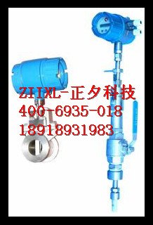 沼气质量流量计，沼气质量流量计价格