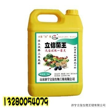 花生死苗烂根及地下害虫的防治方法_植保技术立信菌王死苗烂根一灌灵