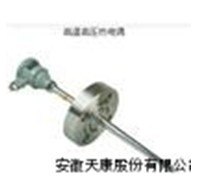 供应天康高温耐磨热电偶