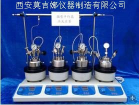 高压平行反应仪