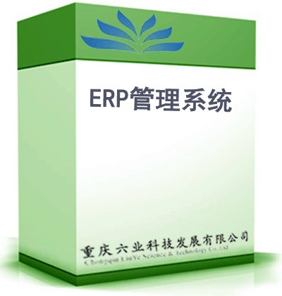 六业ERP系统 企业erp系统定制 定制开发erp系统