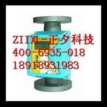 氢气转子流量计，氢气转子流量计生产厂家