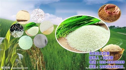 揭阳工厂饭堂管理工厂饭堂管理公司图天天向上饮食
