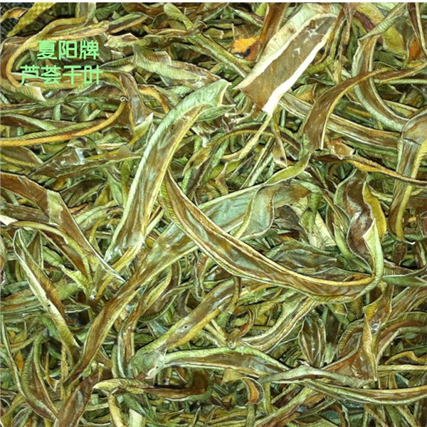 治便秘芦荟干叶    芦荟干叶花草茶  芦荟干燥叶酿酒