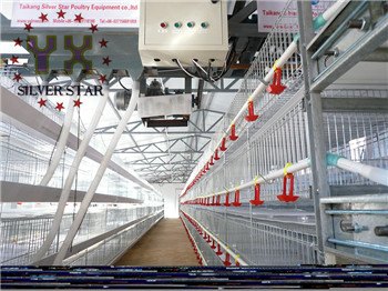 阶梯式喂料机地址【银星】唯一行业最早荣获国家专利产品企业