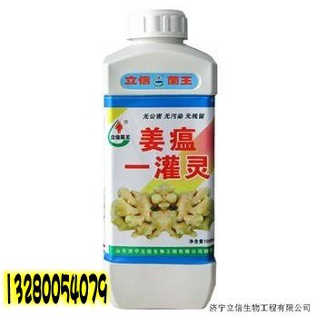 2014生姜斑点病，病毒病专治用什么肥料好？首选立信菌王B2B