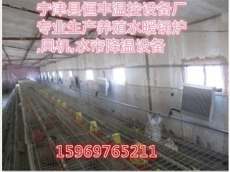 鸡苗育雏取暖锅炉？鸡苗育雏取暖设备合理