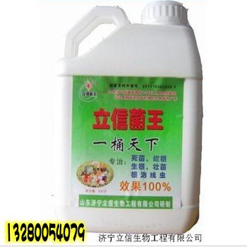 2014农业最新需求！立信菌王一桶天下 蔬菜基地最新需求