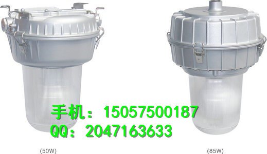 GC-101W防水防尘防震防眩灯  9180C
