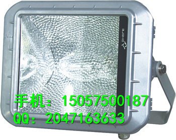 GT-001防水防尘防震泛光灯  9720