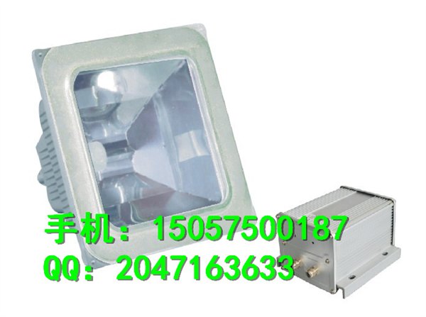 GT-002防水防尘防震泛光灯 9100