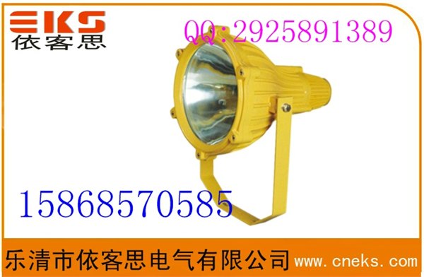 防爆投光灯 BTC8210防爆投光灯 圆形防爆投光灯BTC8120