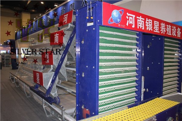 全自动捡蛋机厂家【银星】唯一行业最早荣获国家专利产品企业