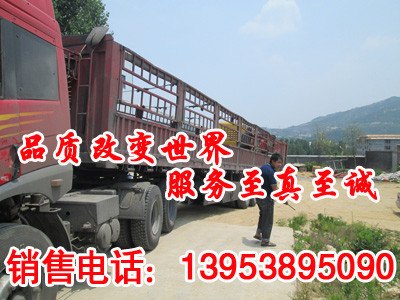 防暴煤矿用混凝土输送泵生产厂家,安徽防暴煤矿用混凝土输送泵报价 价格