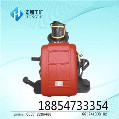 HYZ2/4隔绝式正压氧气呼吸器,正压氧气呼吸器