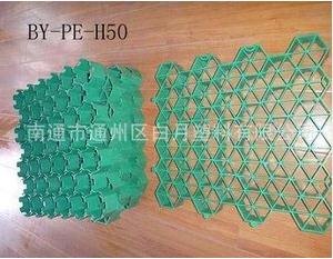 供应5公分塑料植草格