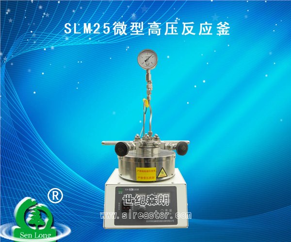 供应SLM25微型高压反应釜
