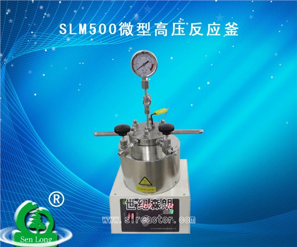 供应SLM500微型高压反应釜