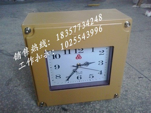 BSZ2010防爆石英钟-江西防爆石英钟生产批发
