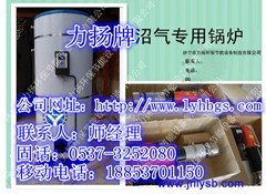 江苏优质小型沼气锅炉