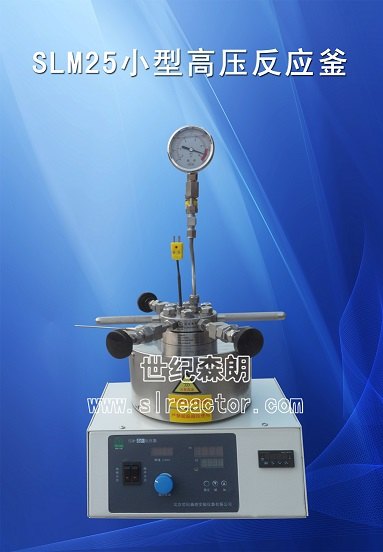 供应SLM25小型高压反应釜
