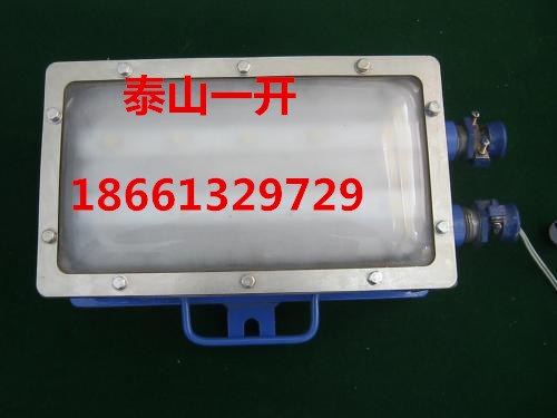 DJC20/127L矿用隔爆兼本质安全型LED支架灯
