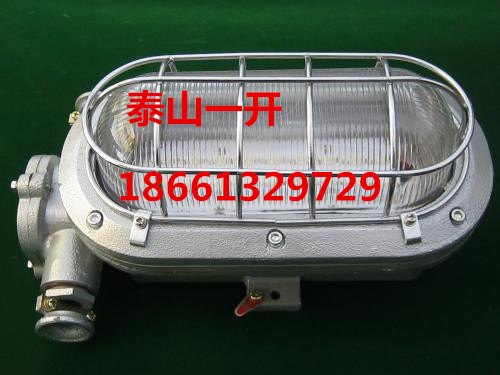 DGC18/127L(A)矿用隔爆型LED支架灯