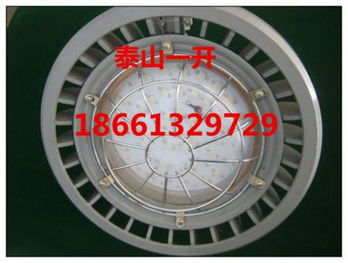 DGS48127LB矿用隔爆型LED巷道灯