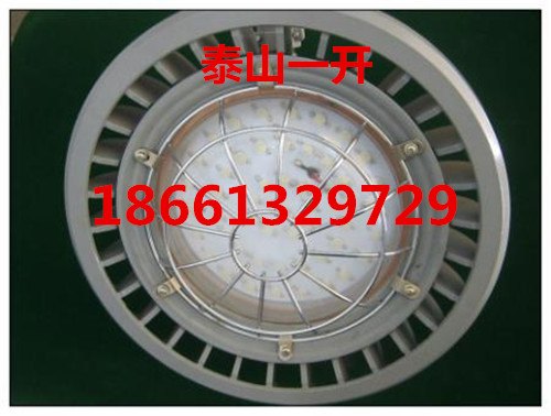DGS36/127L(B)矿用隔爆型LED巷道灯