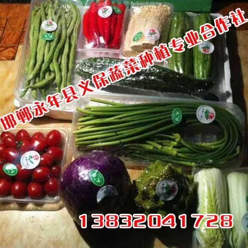 蒜苔,蒜苔种植基地,蒜苔价格,绿色蔬菜,邯郸永年义保蔬菜