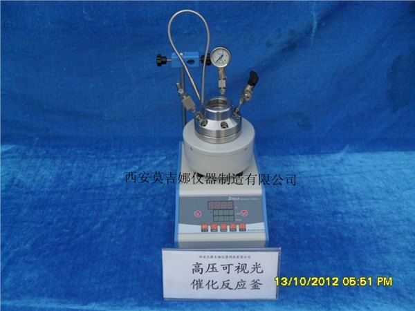 微型高压反应釜WCGF-25ml/WCGF-50ml