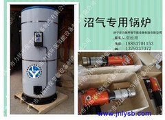 沼气气煤两用锅炉不易锈蚀