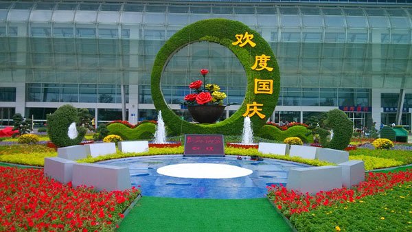 开封五色草造型公司,五色草种苗批发,立体花坛种植厂家供应