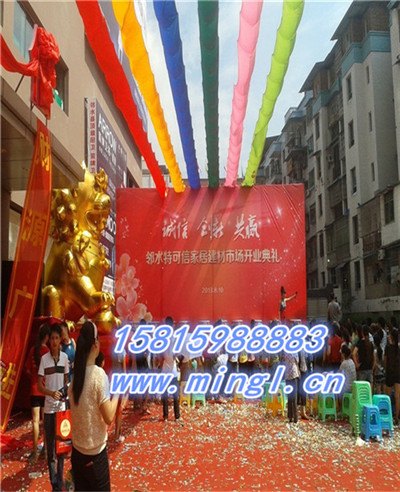 低价出售出租庆典飞布