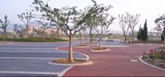 淮北市彩色压花地坪 淮北市彩色压印地坪 淮北市压模艺术地坪