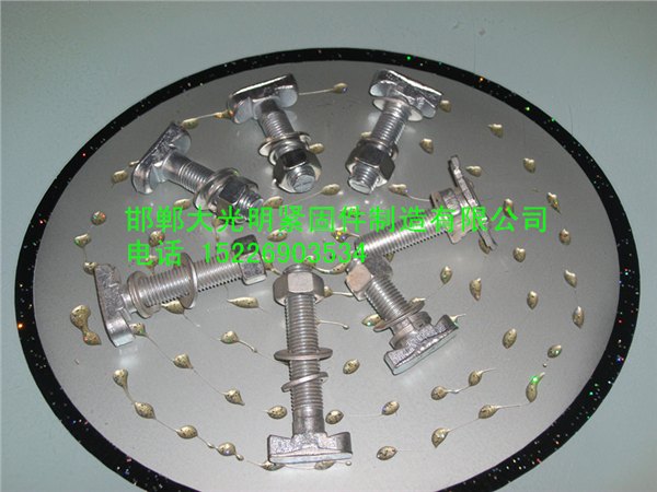 大光明现货供应16x60T型螺栓