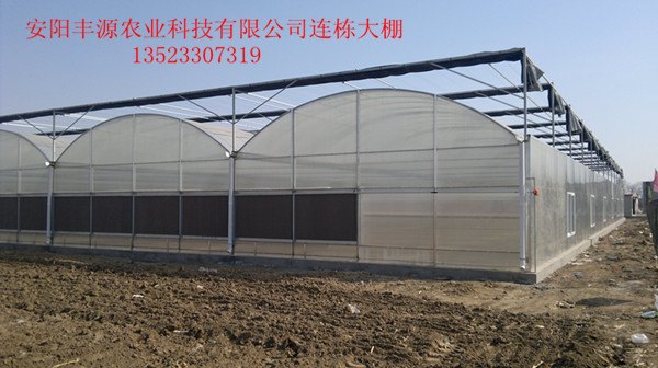 做大棚值得信赖的厂家安阳丰源大棚厂家