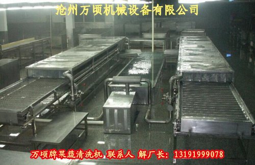樱桃清洗机 食品清洗机