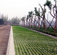 庐阳彩色压模地坪 庐阳彩色艺术地坪 庐阳压花地坪