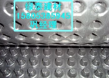 供应保定屋顶种植排水板/车库绿化排水板&&土工布
