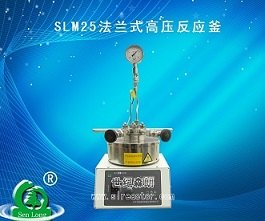 江苏大量销售slm25法兰式高压反应釜