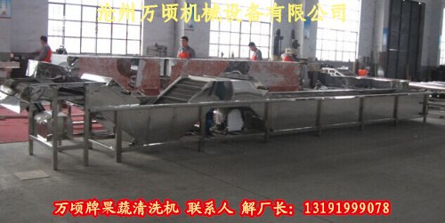 橄榄清洗机毛棍式连续自动清洗机