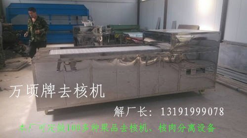 小暑桃去核机 砀山黄桃核肉分离机