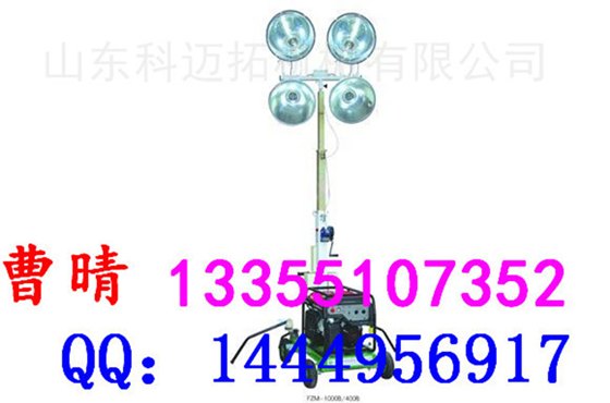 照明灯 晚上用的就是这种灯