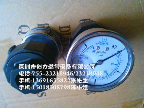 台湾1kg，4kg，5kg，10kg隔膜压力表，螺纹隔膜表、法兰隔膜表